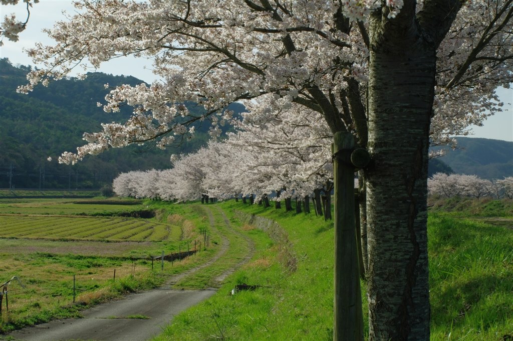 43mmの焦点距離で撮れる風景について ペンタックス Fa43mmf1 9 Limited のクチコミ掲示板 価格 Com