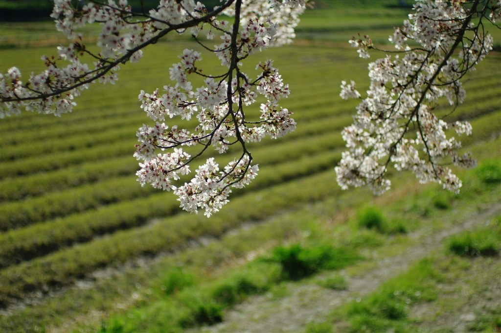 43mmの焦点距離で撮れる風景について ペンタックス Fa43mmf1 9 Limited のクチコミ掲示板 価格 Com