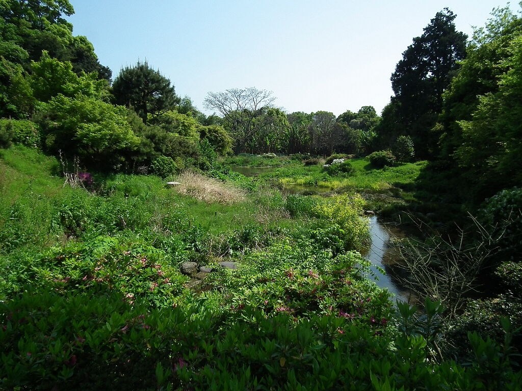 Jongeres 50 Windows Xp 壁紙 草原 19