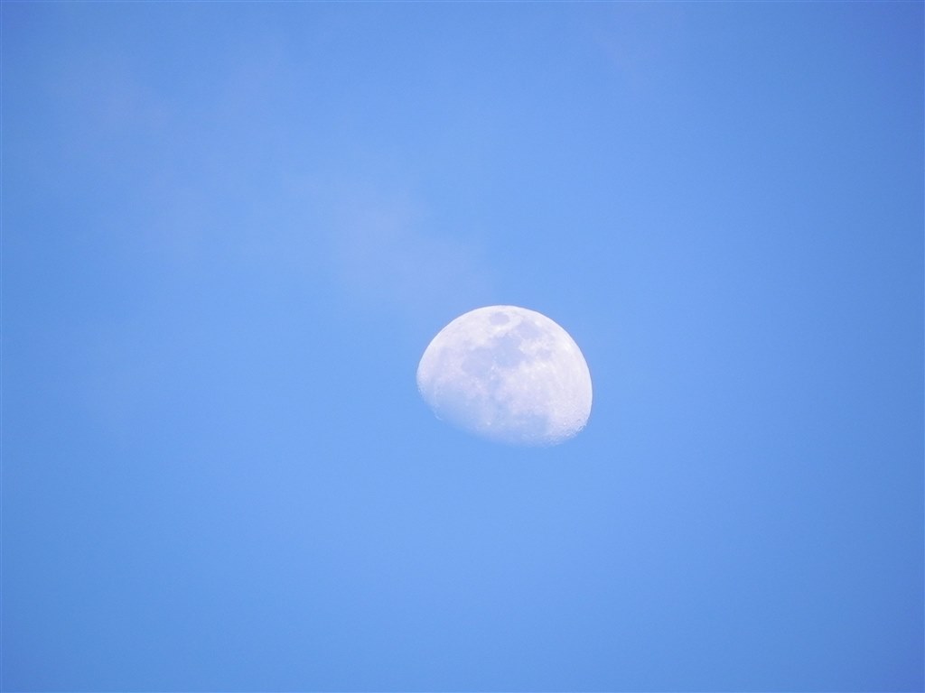 青空に浮かぶ上弦の月を撮してみました』 ニコン COOLPIX P100