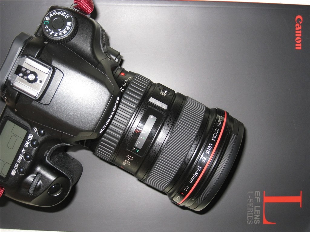 APS-Cにはもったいないですか？』 CANON EF17-40mm F4L USM の