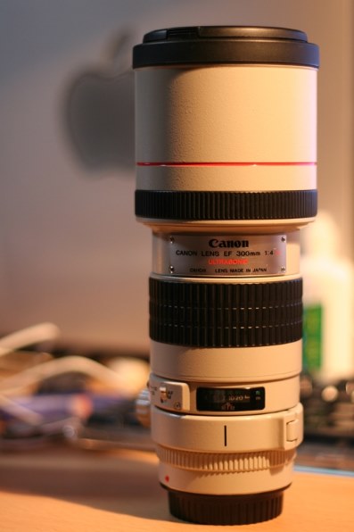 EF300mm F4L USM（IS無し）』 CANON EF300mm F4L IS USM のクチコミ