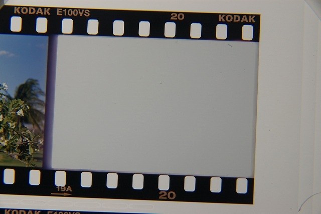 617dDqBA7kL._AC_UF350,